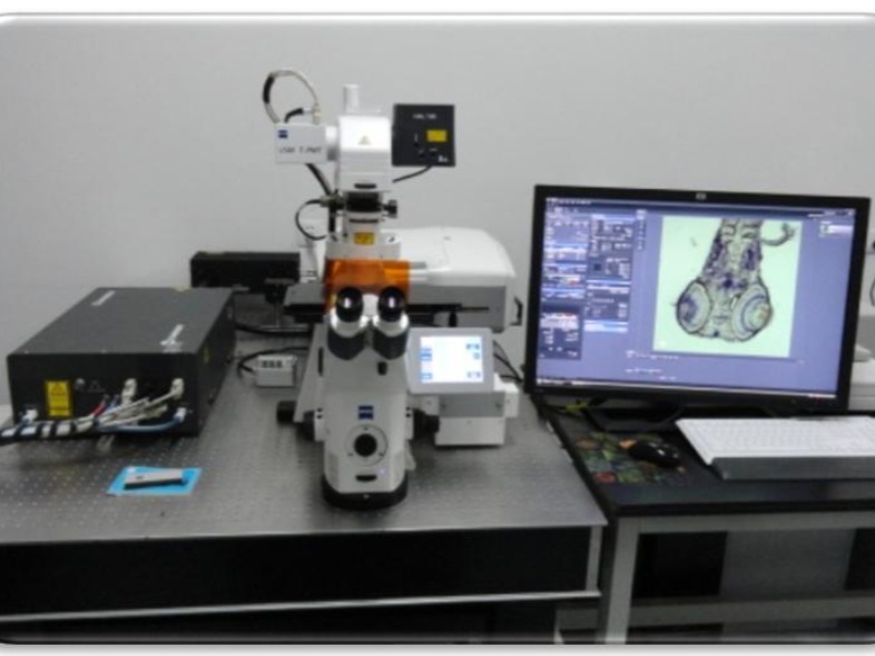 双光子显微镜系统